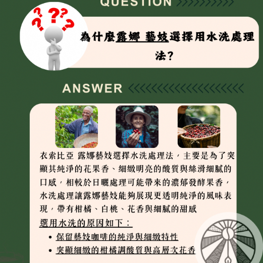 衣索比亞 露娜藝伎